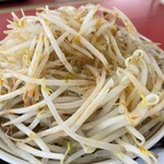 ラーメン もっけだの - 『青唐味噌ラーメンニンニク野菜マシマシ』の野菜