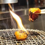 炭火焼ホルモンぐう - 