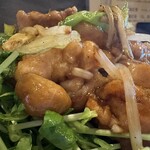 鉄板中華・担々麺 究 Kiwa - 