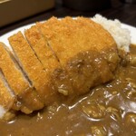 カレーハウスCoCo壱番屋 - 