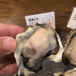 オストレア oysterbar&restaurant 新宿三丁目店 - 