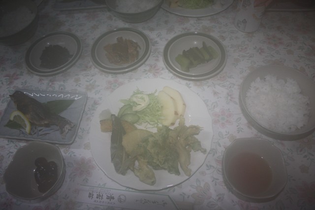 青苔荘 name=