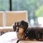 Regina Resort Karuizawa Mikage Yosui - 在餐厅前