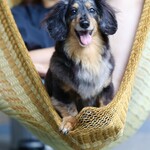 Regina Resort Karuizawa Mikage Yosui - 在阳台上