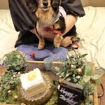 レジーナリゾート軽井沢 御影用水 - 愛犬とお誕生日ケーキ