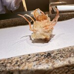 日本橋 蕎ノ字 - 