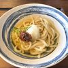 麺や 八刻丸 名古屋本店 - 梅おろしうどん