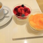 フォーシーズンズカフェ - フルーティパンナコッタのベリーベリーとマンゴー