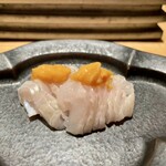 261554151 - 穴子(宗像鐘崎)刺とコク旨濃厚な塩辛