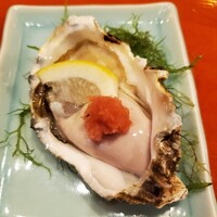魚竹 - 