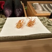 天白 - 