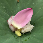 赤坂 菊乃井 - 昼懐石１５７３０円。明石天然鯛、鱧落とし。鱧の骨でとった出汁で湯引きした温かい鱧は、ふんわりとして、旨味も濃いです。