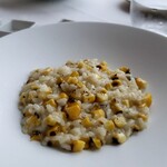 サーラ アマービレ - とうもろこしとタレッジョの リゾット クミン風
