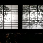 サーラ アマービレ - 金魚のアクアリウム