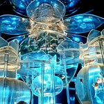 サーラ アマービレ - 