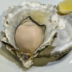 ビストロ ティアボ - 