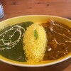ヴィジェイジャムナ - 
