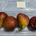 若狭ふれあい市場 - 