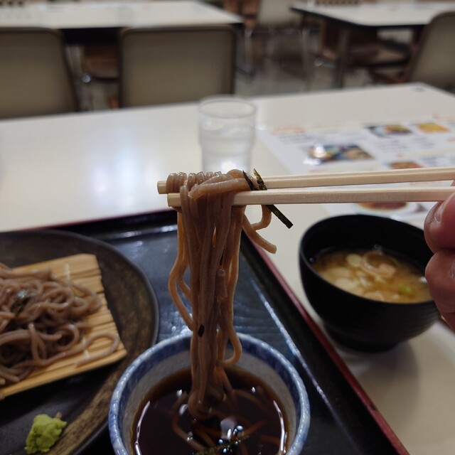 レストラン とまと - 旭川四条（食堂）の写真