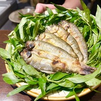 デンクシフロリ - 