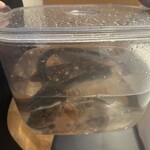 ウシマル - 九十九里産天然ウナギ　カサゴ