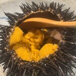 江差 旅庭 群来 - 