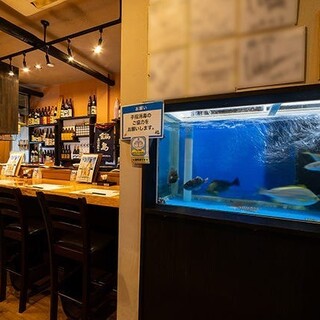 カウンター横には生簀もございます。