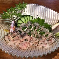 飛騨季節料理 肴 - 