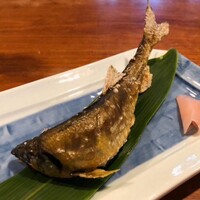 飛騨季節料理 肴 - 