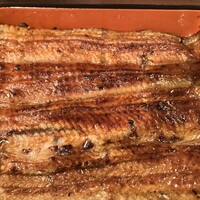 うなぎ川勢 - 