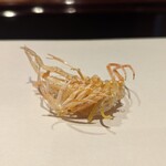 天ぷら たけうち - 