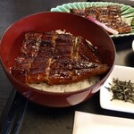 お食事処 多七 - うな丼。