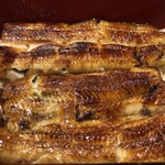 新宿 うなぎ菊川 - 