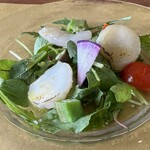 トラットリア カヴァタッピ - 前菜