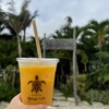 Blue Turtle Farm Mango Cafe