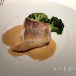 コート ドール - 