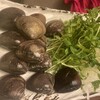 桑名蛤料理・蛤しゃぶしゃぶ 貝新