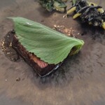 ラ・トゥーエル - 