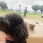 ブルーボトルコーヒー 豊洲パークカフェ - 