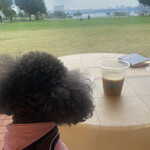 ブルーボトルコーヒー 豊洲パークカフェ - 