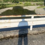 メツゲライクスダ - 参考写真、朝日を浴びてから朝ご飯にハムサンド食べます❣️
      