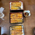 橋本食堂 - 