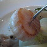 メゾン・ド・ハマ - 帆立です。