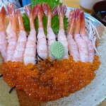 Sushi dokoro hiranoya - えびいくら丼　1800円　アップ