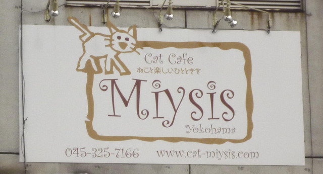 キャットカフェ ミーシス 猫カフェ Cat Cafe Miysis 伊勢佐木長者町 その他 食べログ