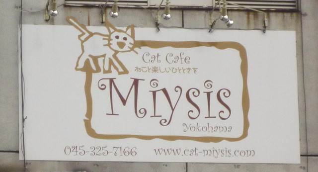 キャットカフェ ミーシス 猫カフェ Cat Cafe Miysis 伊勢佐木長者町 その他 食べログ キャットカフェ ミーシス 猫カフェ Cat Cafe Miysis 伊勢佐木長者町 その他 食べログ