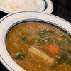 カレー魂 デストロイヤー