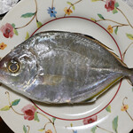 NIBOSHI MANIA - カイワリ。アジ科の魚で、おいしかったです。