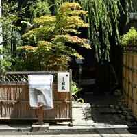 高麗橋桜花 - 