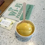 ソルベテリアプライア - マンゴーパッション